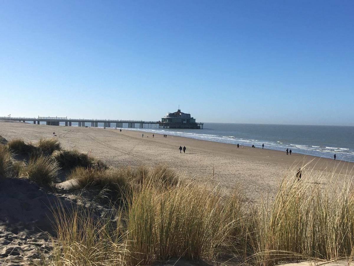 Oase 'T Huyseke Villa Blankenberge Kültér fotó